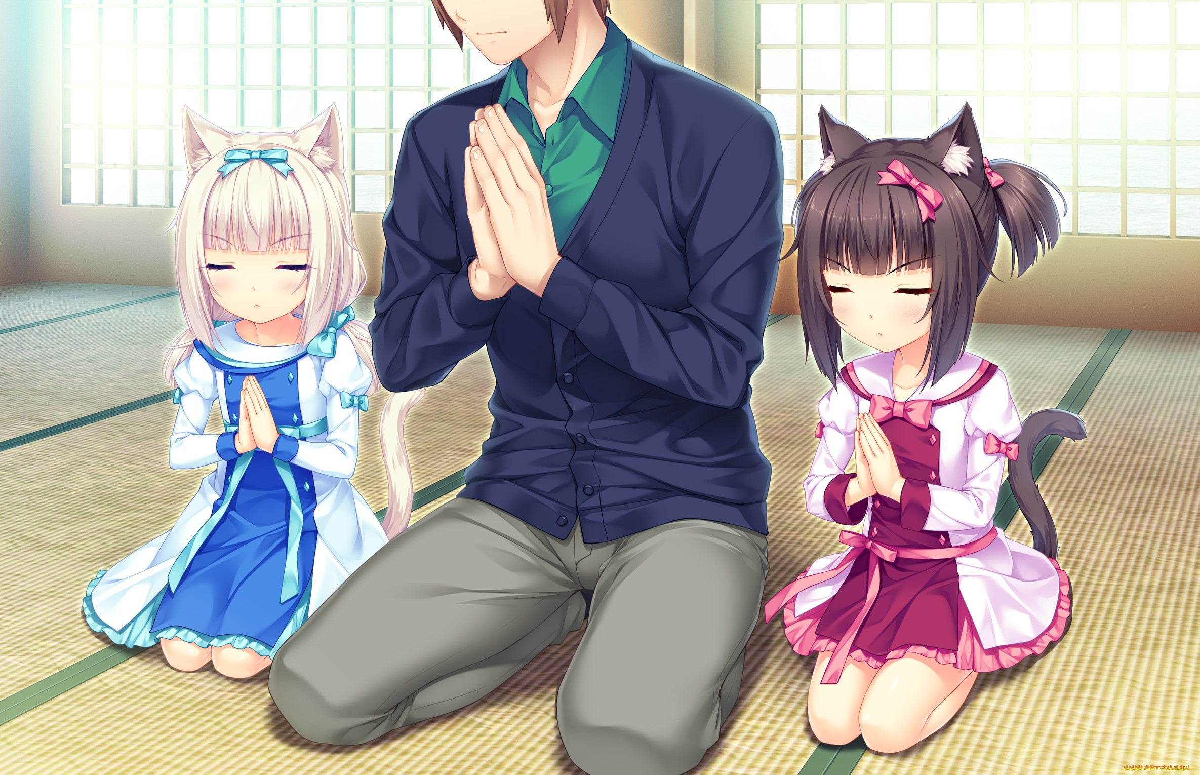 , nekopara, , , 